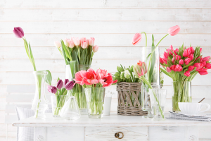 LET’S DREAM ABOUT THE SPRING