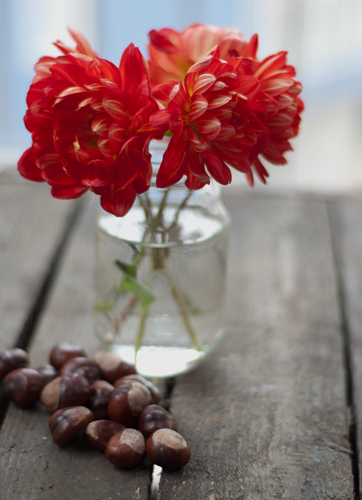[:en]THREE EASY IDEAS FOR AUTUMN DECORATION[:bg]ТРИ ЛЕСНИ ИДЕИ ЗА ЕСЕННА ДЕКОРАЦИЯ[:]