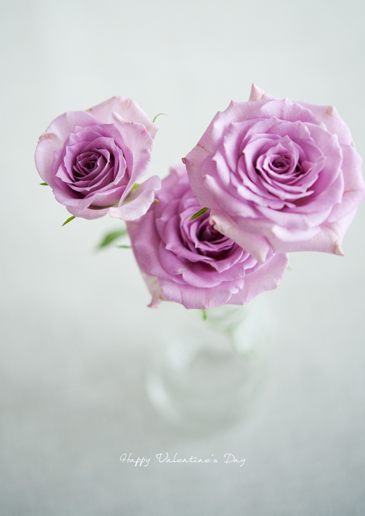 HAPPY VALENTINE’S DAY I 2013