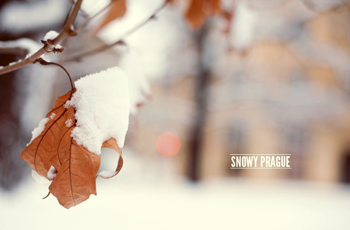 SATURDAY IN SNOWY PRAGUEСНЕЖНА ПРАГА